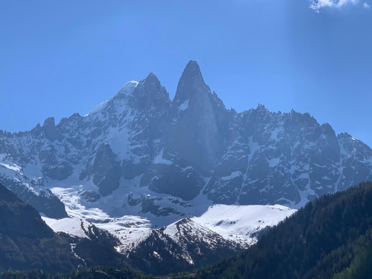 Hotel Le Labrador Chamonix Exterior foto