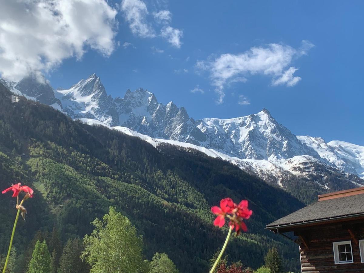 Hotel Le Labrador Chamonix Exterior foto