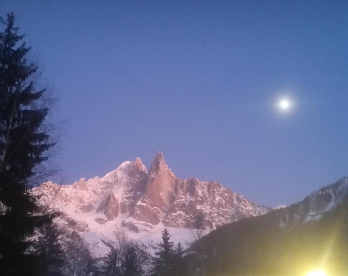 Hotel Le Labrador Chamonix Exterior foto